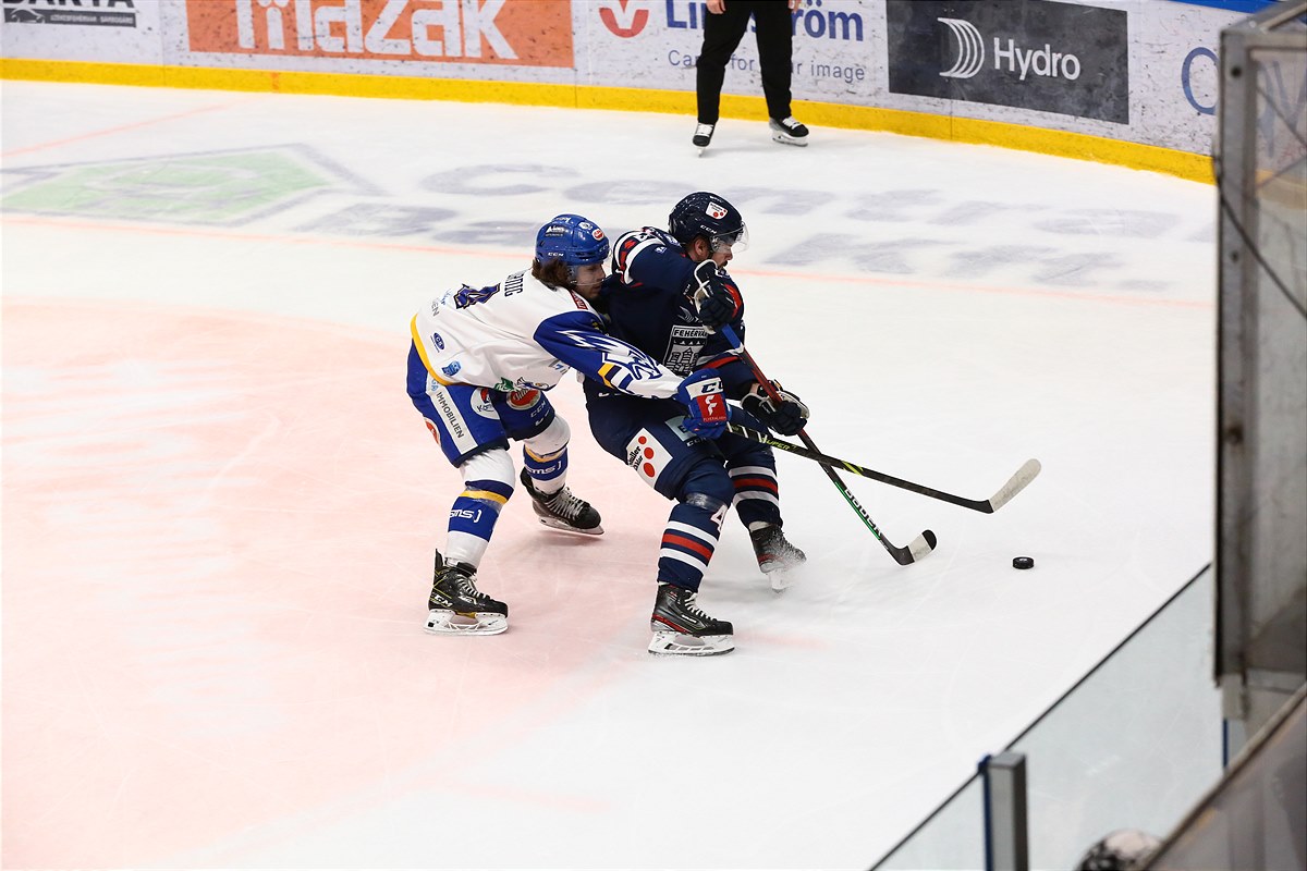 AVS-VSV